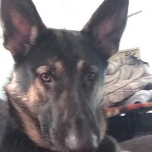 Meet your Posher, Kaydee